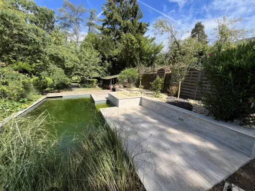 Rénovation d'une piscine naturelle à Lagnieu