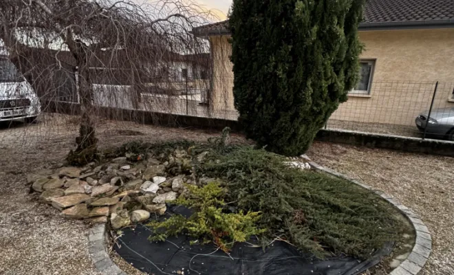 Aménagements Paysagers, D&B Aménagement Paysager, Saint-Sorlin-en-Bugey