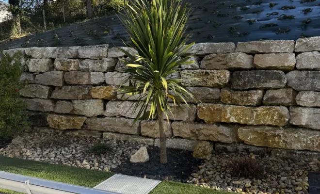 Plantation,Villette d’anthon,D&B Aménagement Paysager 