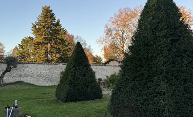 Entretien, Charnoz sur Ain, D&B Aménagement Paysager